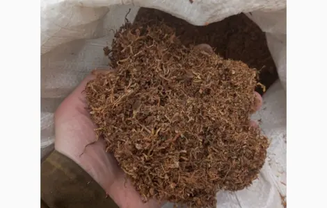 Куплю табак різаний лапшою