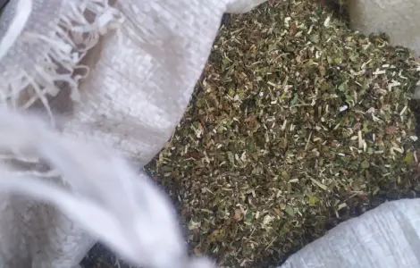 Куплю махорку та тютюн різаний від мішка