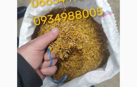 Якісний Парламент Голд Берлі Вірджинія Руно Вінстон Кемел Мальбро Гавана Є ОПТ