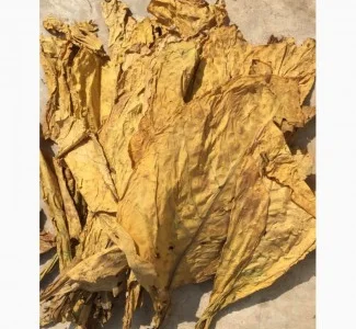 Табак/Тютюн - Вирджиния