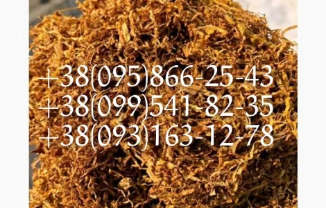 Табак берли! табак золотое руно! табак вирджиния голд! табак кентуки