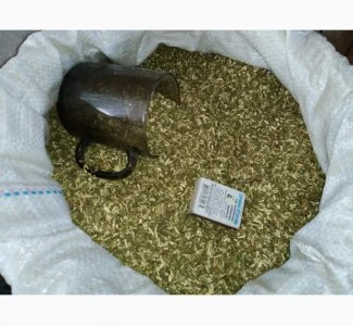 Куплю у вас САМОСАД-МАХОРКУ ! любий куплю САМОСАД куплю від 10ти кг