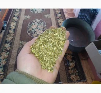 Куплю оптом самосад махорку