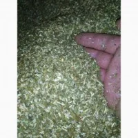 Самосад махорку ДОРОГО