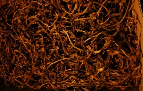 Продам тютюнову центральну жилку