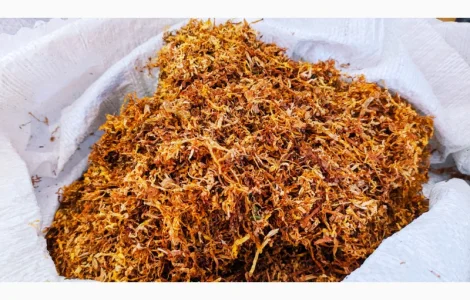 Табак для трубки  Сорта Вирджиния Голд. Берли