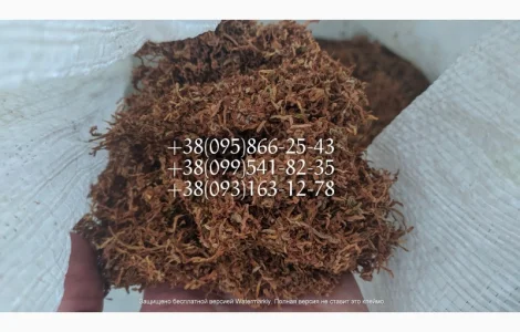 Качественный Табаки для самокруток  по хорошей цене ВИРДЖИНИЯ Берли Махорка