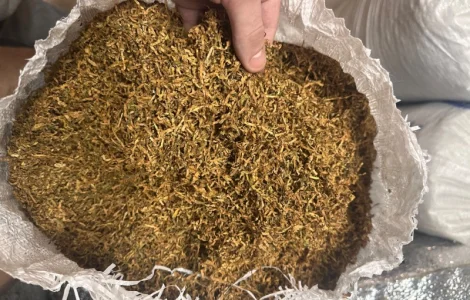 Є великий опт якісного тютюну без палок та вологості