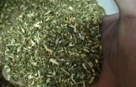 Продам Махорку Самосад Табак