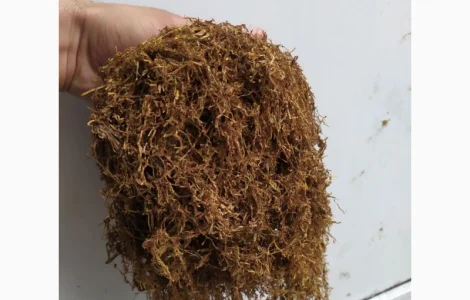 Продам Венгерский крепкий табак ОПТОМ