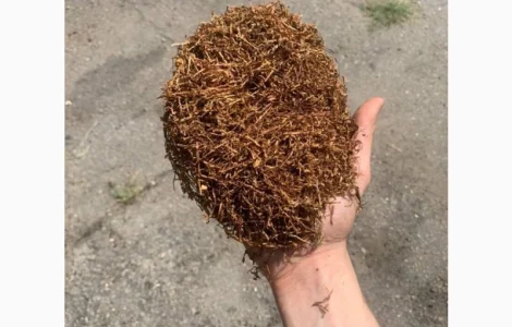 Тюнтюн для трубки лапша/фабрика без палок та пилі на роздріб та опт