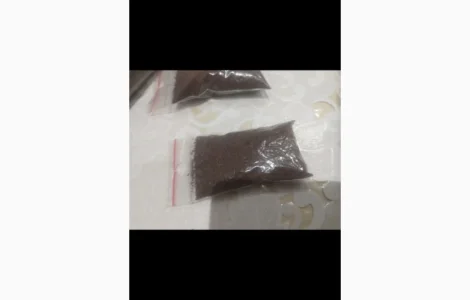 Насіння тютюну