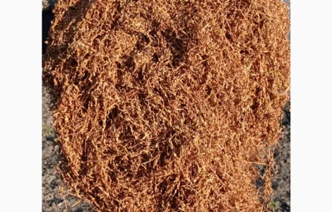 Продам тютюн Берлі середній для трубки