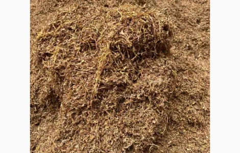 Табак фабрика для трубки