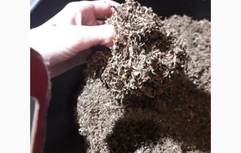 Самый лучший табак для трубки  здесь