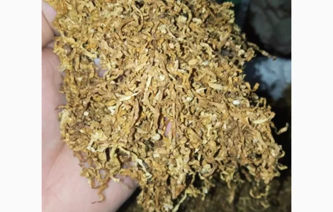 Хароший табак сільський український самосад для сигарет 1 кг, вірджінія, берлей