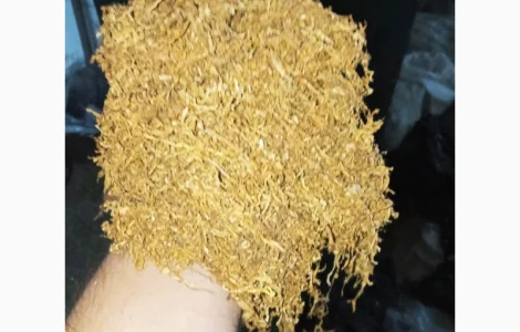 Домашній табачок самосад і дюбек берлі  для  сигарет 1 кг