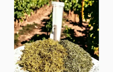 Продам табак Вирджиния, Берли для сигарет 1 кг , 350 грн