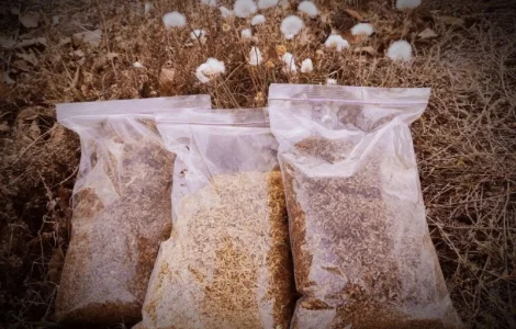 Продам качественный табак разных сортов.По хорошим ценам