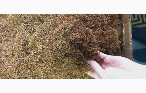 Продам тютюн  для сигарет 1 кг різаний сорт вірджинія