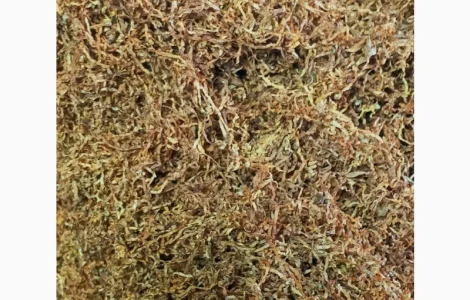 Продам тютюн Вірджинія для сигарет 1 кілограм