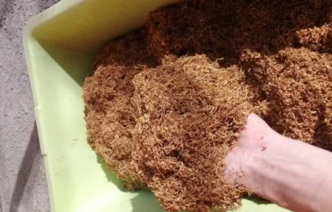 Запашний домашній крепкий тютюн для сигарет 1 кг