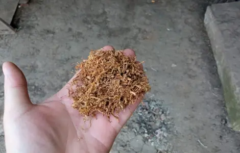 Табак для трубки ВИРДЖИНИЯ, БЕРЛИ домашние табаки нарезка 0.3-.0.4 мм