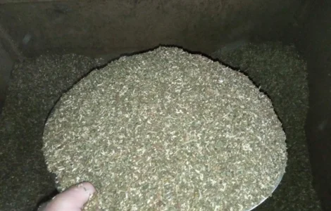 Ще є МАХОРКА  для трубки і тютюн домашній качество на висоті