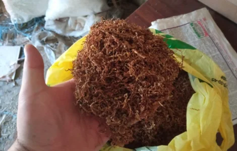 Продам хароший табачок для трубки Вірджінія, Берлі, ферментірований не смирдить