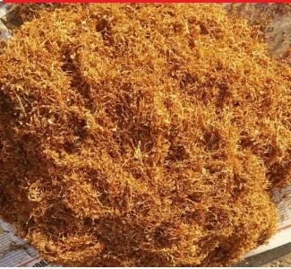 Гарний запашний Табак, Вірджінія берлі дюбек мілєніум