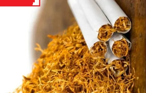 Отлічний табак ферментірований домашній Вірджінія, Берлі  для  сигарет 1 кілограм