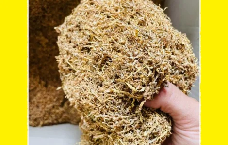 Тютюн  для  сигарет 1 кг,  домашній Берлі -Вірджініія -Мілєніум-Дюбек Дуже добрий, крепкий і не дуже