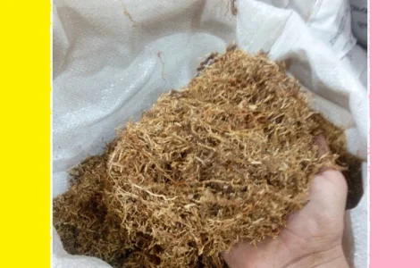 Самі домашні табаки для трубки з відбірного листа