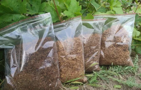 Великий вибір тютюну для сигарет 1 кг, табак, вірджинія голд