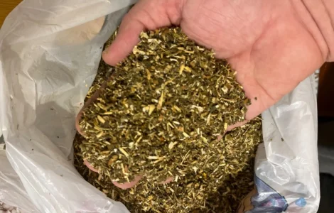 Продам махорку  для  самокруток