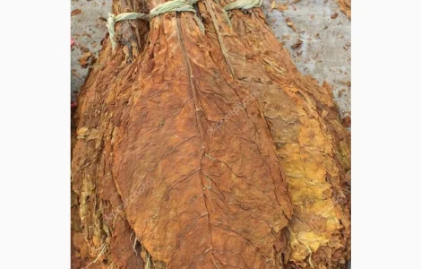 Продам табак листовой для самокруток