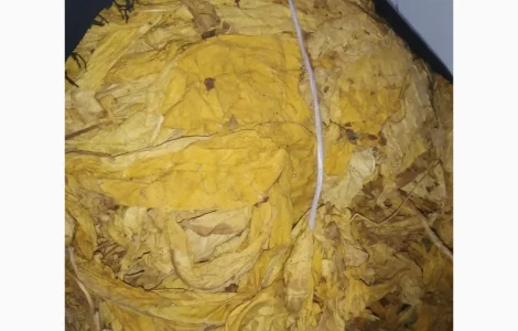 Продам табак в листе для сигарет 1 кг