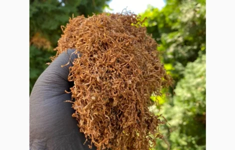 Тільки першосортний тютюн. Нарізка 06-08 мм