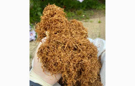 Широкий ассортимент фабричных табаков для сигарет 1 кг: CAMEL, Marlboro, Winston…