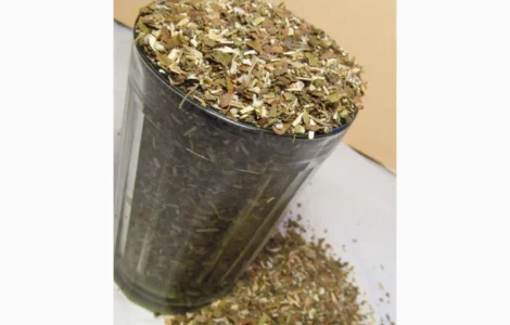 Махорка-самосад