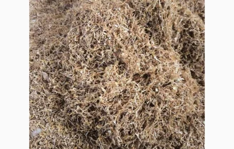 Продаж якісного тютюна, для сигарет 1 кг ,  опт