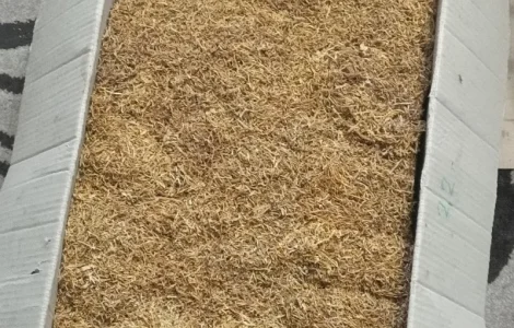 Продам табак для трубки