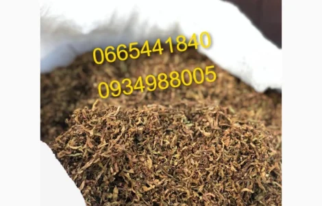 Табак розница Гавана Дюбек Вирджиния Руно Голд Винстон Кап Блек Кемел