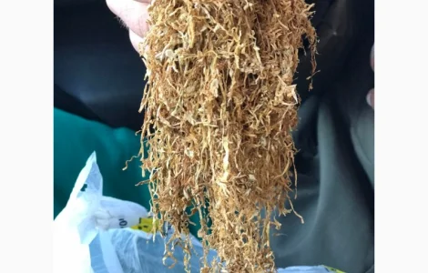 Продам табак Вирджиния, голд, Берли для сигарет 1 кг,  380 грн