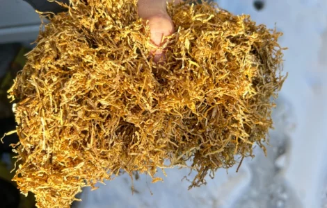 Фабричный табак для самокруток  Прилуки, Винстон, Мальборо 180 грн