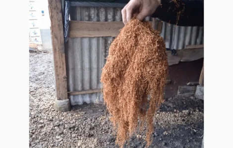 Продам Венгерский табак ( Крепкий ) для сигарет 1 кг