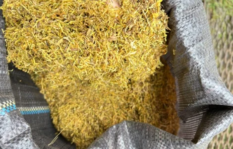 Продам табак оптом імпорт Золоте руно