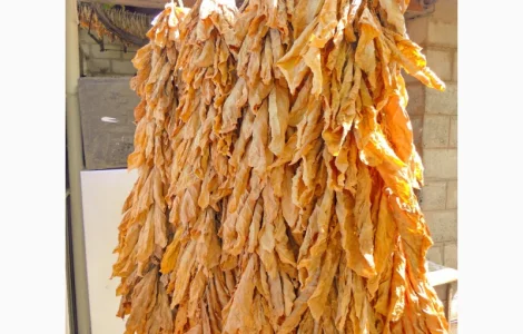 Продам табак Берлей импорт ( Турция ) для самокруток