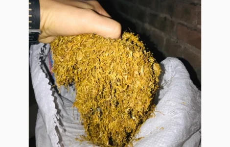 Продам табак Вирджиния Голд ( Болгария ) для сигарет 1 кг