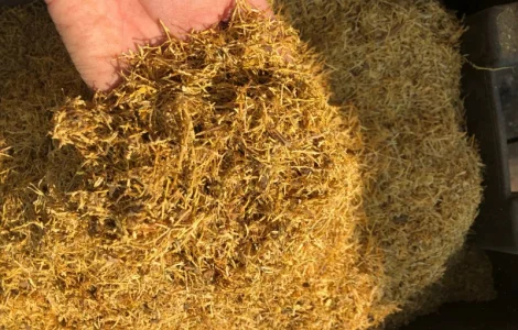 Продам табак Болгарський Вирджиния Голд для сигарет 1 кг